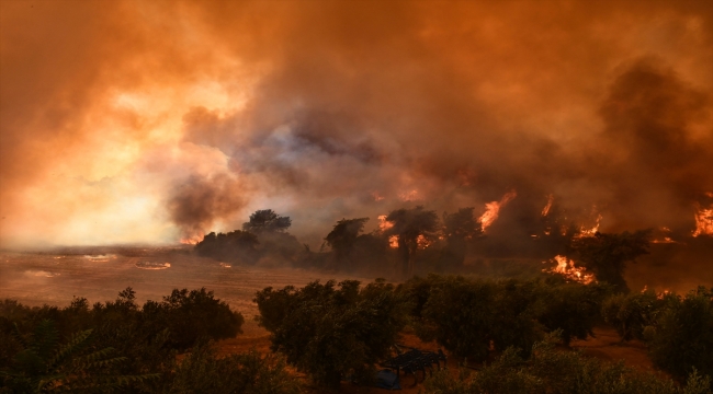 GÜNCELLEME 2 - Adana'da tarlada başlayıp ormanlık alana sıçrayan yangına müdahale ediliyor