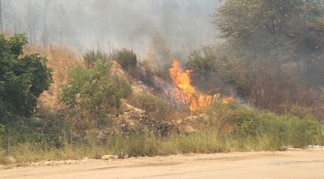 GÜNCELLEME 2- Isparta'da çıkan orman yangını kontrol altına alınmaya çalışılıyor