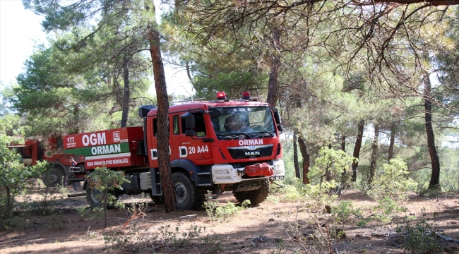 Uşak'ta 2,5 hektarlık orman alanının zarar gördüğü yangın kontrol altına alındı