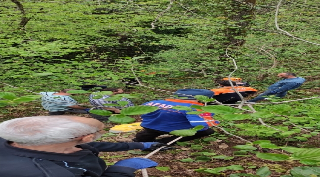 Artvin'de uçuruma yuvarlanan köylü hayatını kaybetti